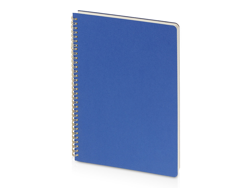 Бизнес-тетрадь А4 "Pragmatic"