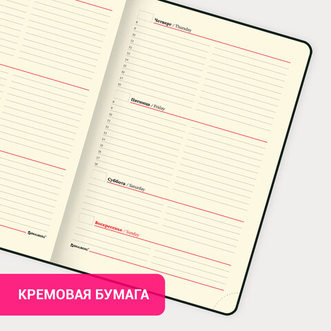 Еженедельник недатированный А5 145х215 мм BRAUBERG "Status", под кожу, 64 л., черный, 113370 Еженедельник недатированный А5 145х215 мм BRAUBERG "Status", под кожу, 64 л., черный, 113370 — изображение 13