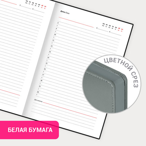 Ежедневник недатированный А5 138х213 мм, BRAUBERG "Safari", под кожу, магнит, 160 л., Snake, серый, 116594 Ежедневник недатированный А5 138х213 мм, BRAUBERG "Safari", под кожу, магнит, 160 л., Snake, серый, 116594 — изображение 14