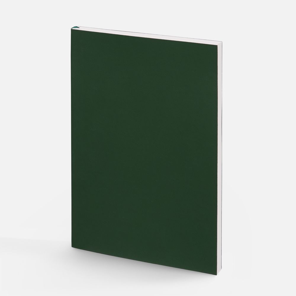 Ежедневник Flat Light ver.2